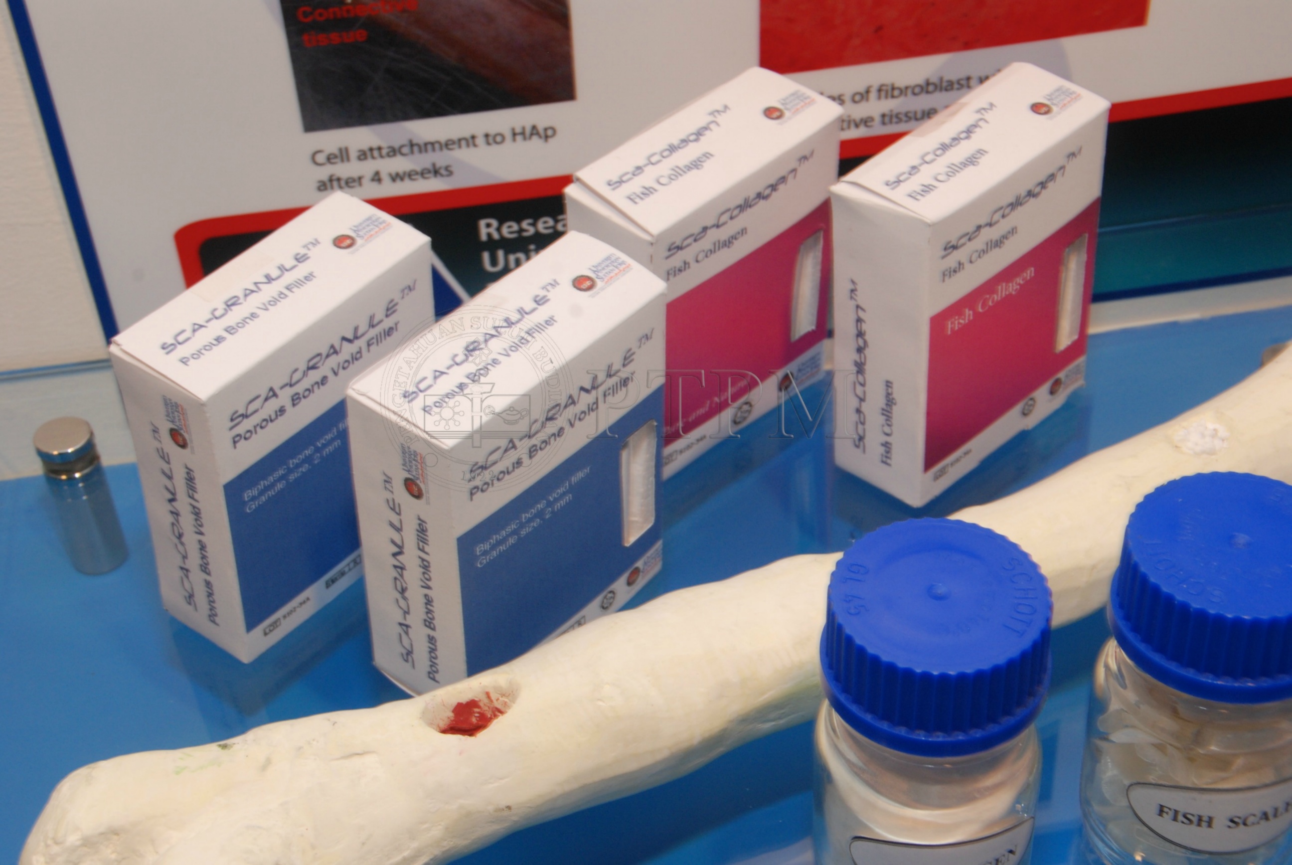 PTPM 12 11 MTE DSC 5895